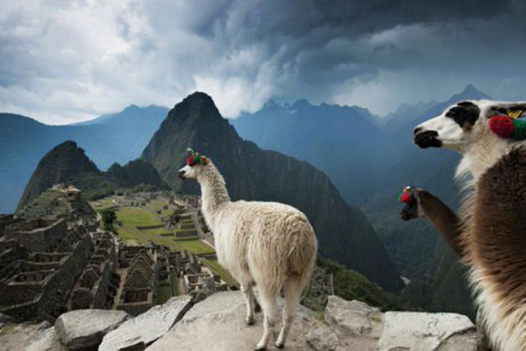 Programa tu viaje a Perú para el 2024